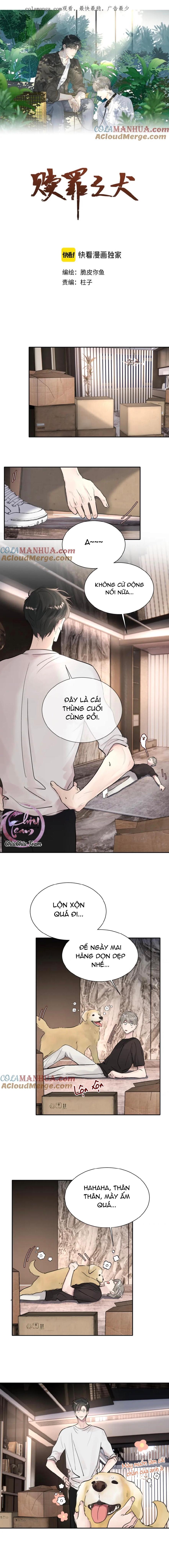 Đọc truyện Chó Chuộc Tội - Chapter 50