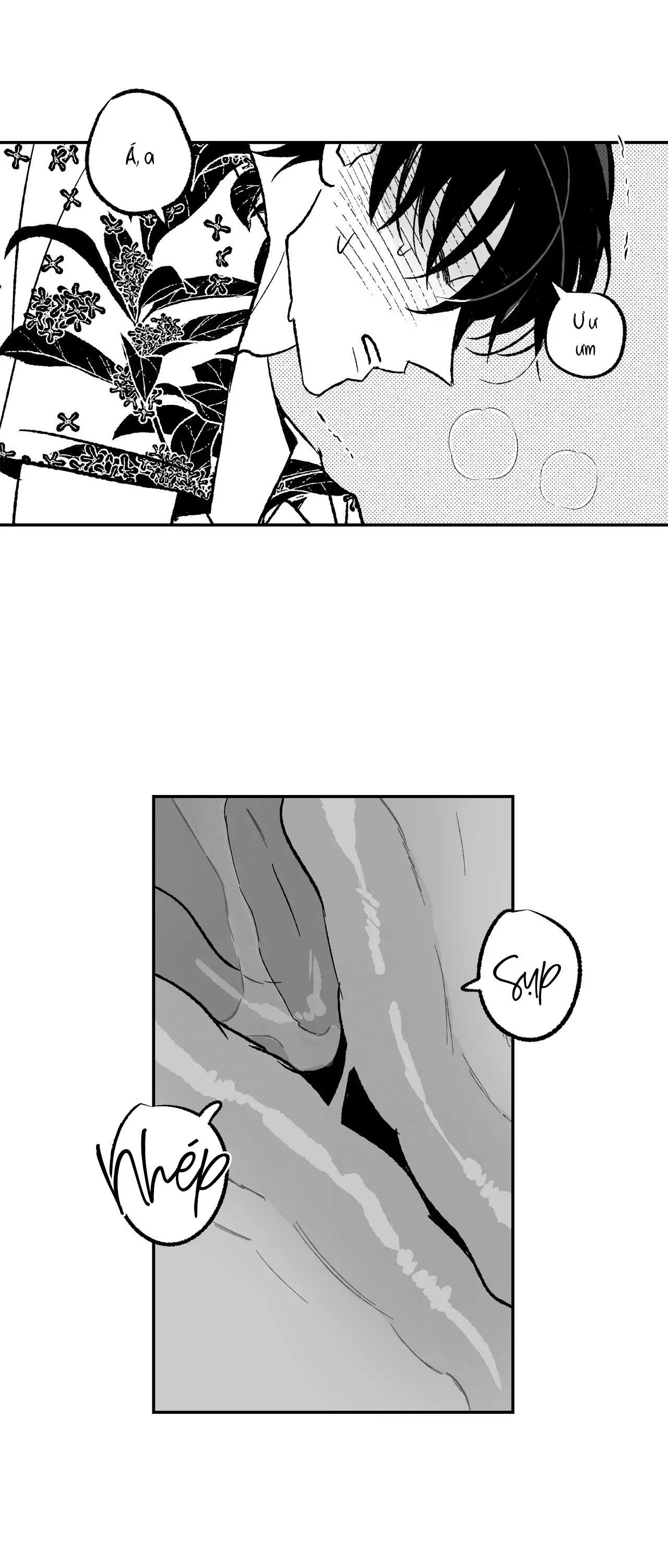 Đọc truyện Sự kết hợp hoàn hảo - Chapter 31