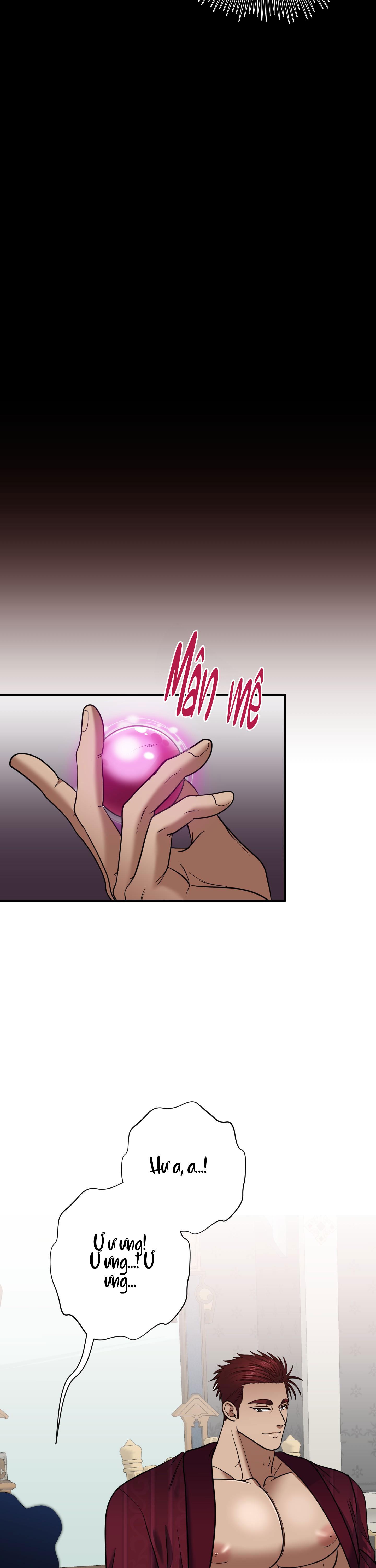 Đọc truyện CÔNG TƯỚC MUỐN CÓ CON NỐI DÕI - Chapter 13