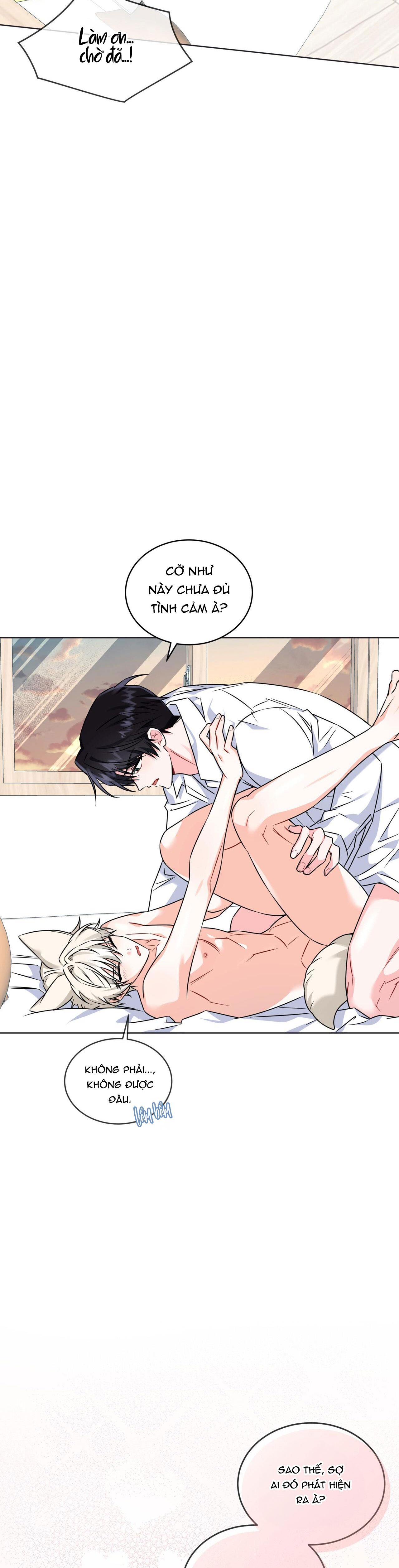 Đọc truyện NƯỚC UỐNG TÌNH YÊU CỦA CÁO PLIN - Chapter 8