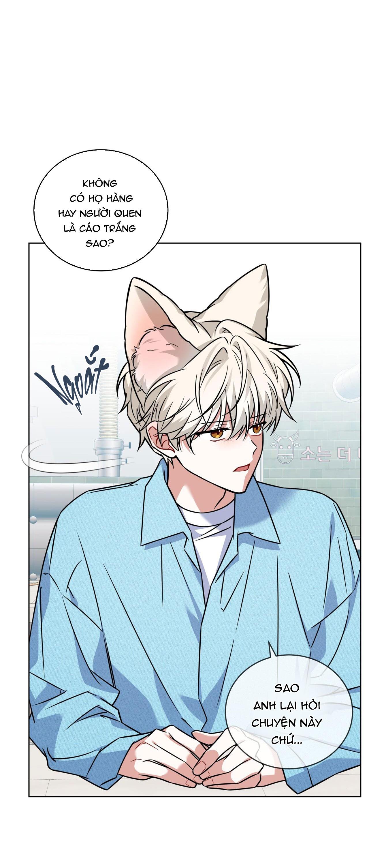 Đọc truyện NƯỚC UỐNG TÌNH YÊU CỦA CÁO PLIN - Chapter 25