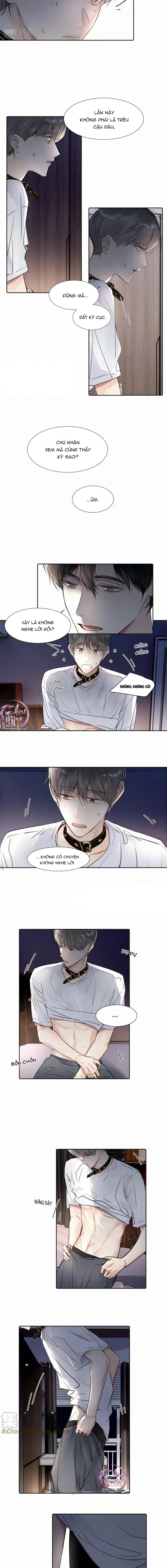 Đọc truyện Chó Chuộc Tội - Chapter 26