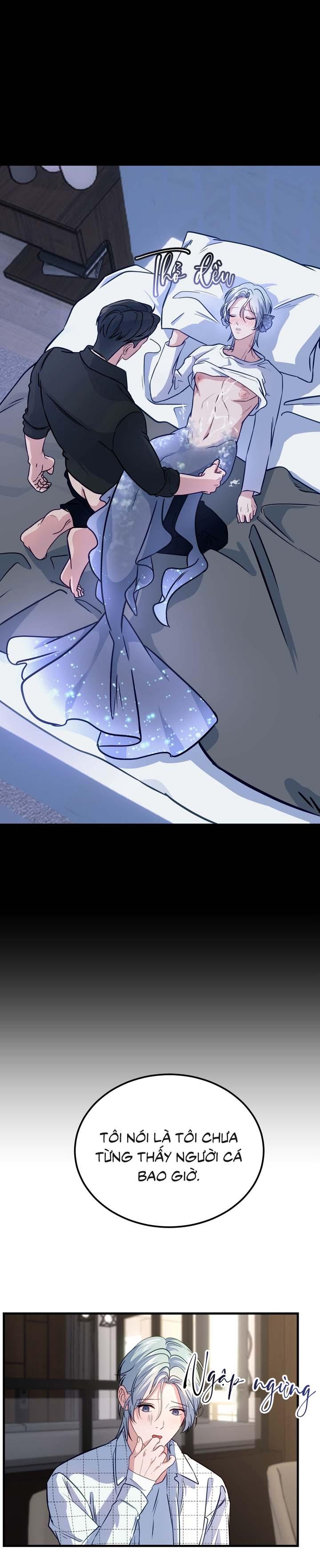 Đọc truyện Người Cá Biến Mất - Chapter 4