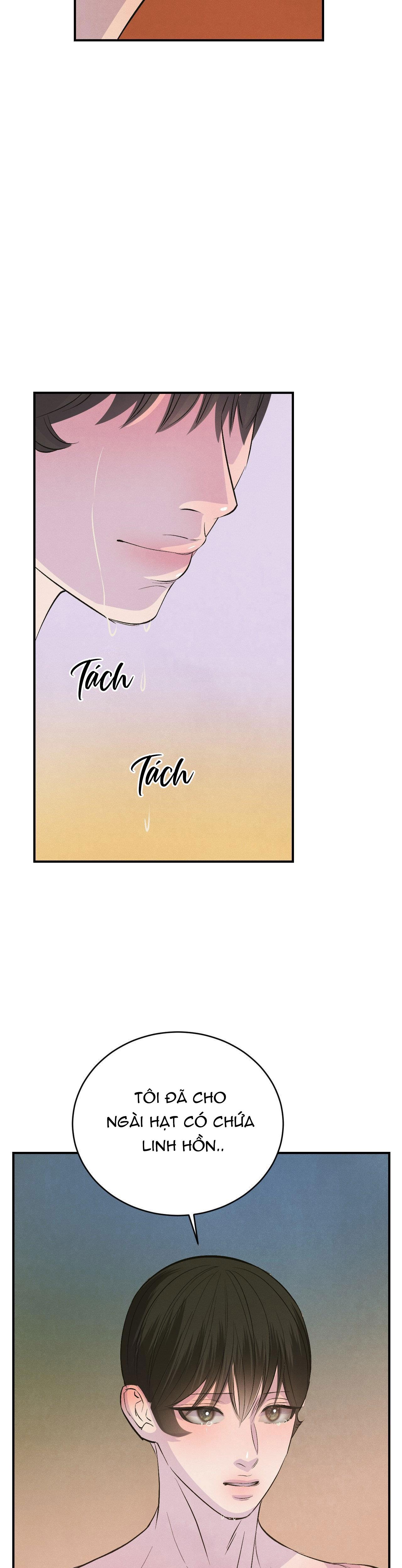 Đọc truyện CẬU BÉ ĐÀO - Chapter 13