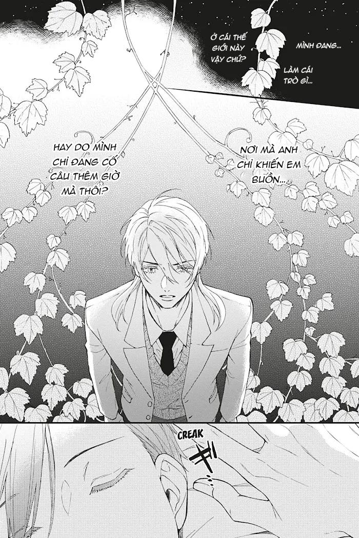 Đọc truyện Mèo đen kí túc, mịt mù đêm đen - Chapter 14