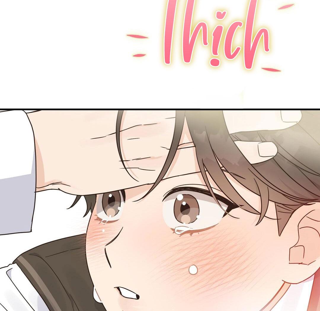 Đọc truyện CHẤN THƯƠNG ALPHA - Chapter 1