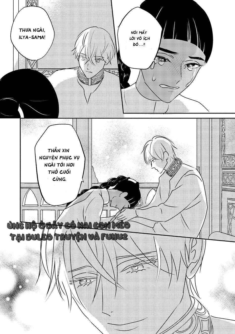 Đọc truyện Omega Của Hoàng Cung - Chapter 11