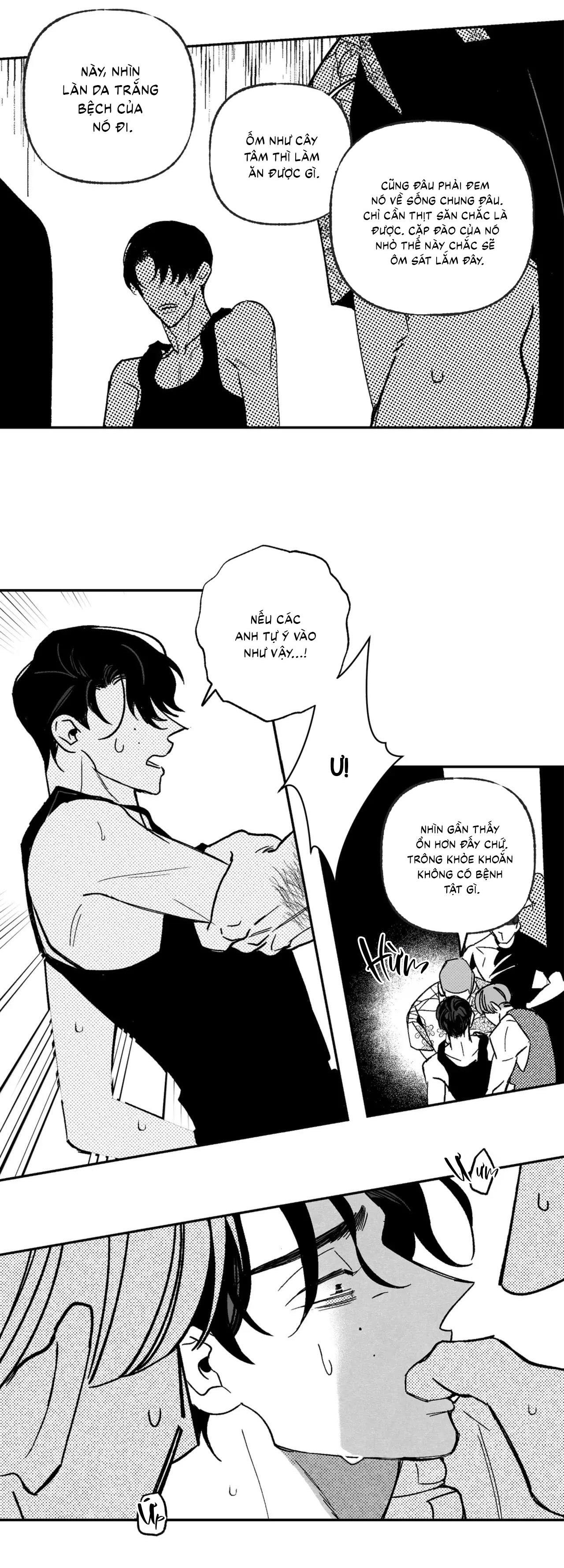 Đọc truyện  Sự kết hợp hoàn hảo - Chapter 40