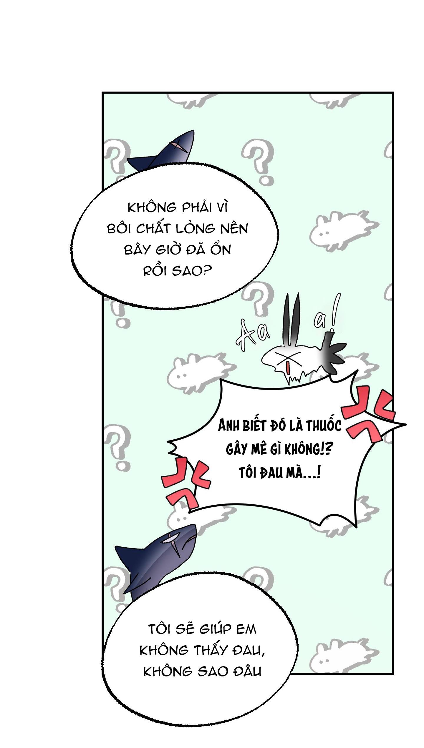 Đọc truyện CÁ MẬP VÀ CÔ DÂU THỎ - Chapter 24