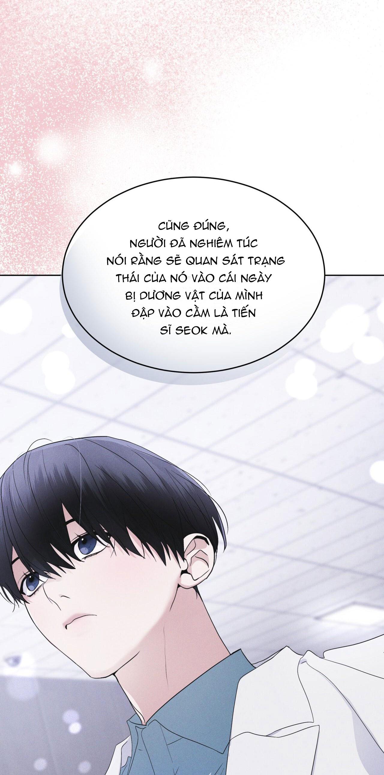 Đọc truyện THÀNH PHỐ CẦU VỒNG - Chapter 39