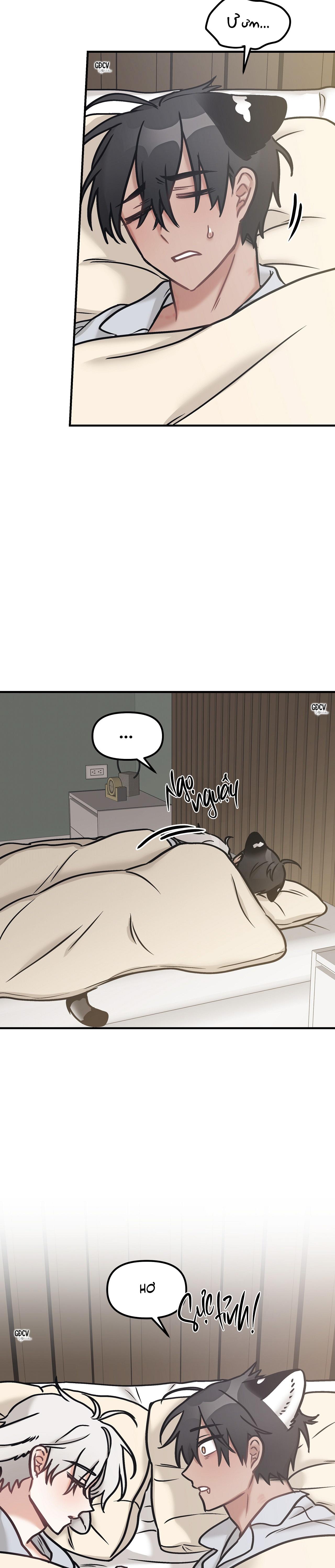 Đọc truyện THƯA NGÀI HỔ, TÔI ĐÃ ĂN RẤT NGON MIỆNG - Chapter 20