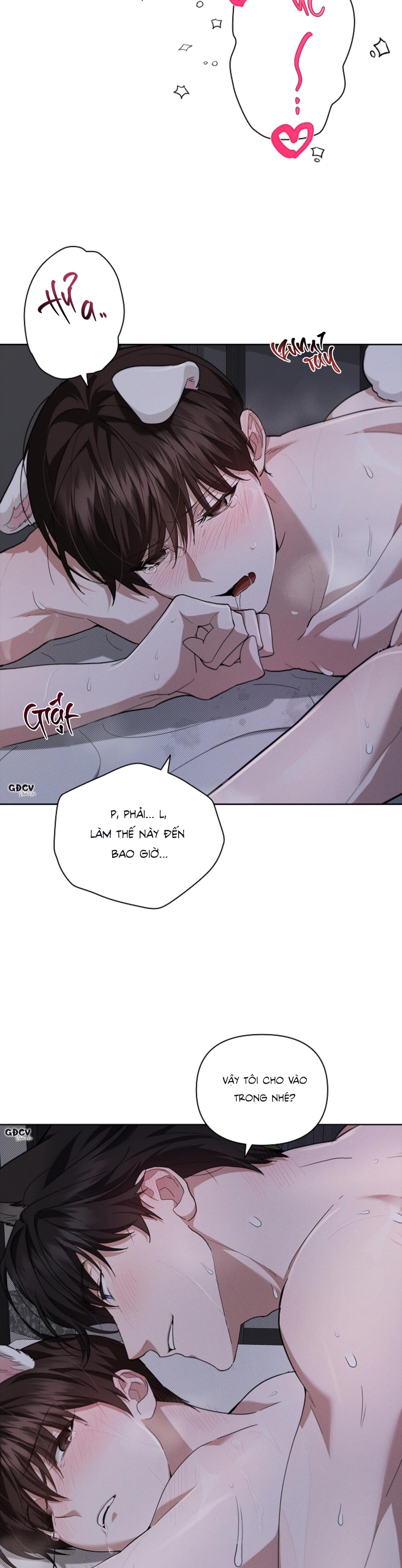 Đọc truyện ĐỪNG CHẠM VÀO CÚN CON CỦA TÔI - Chapter 25