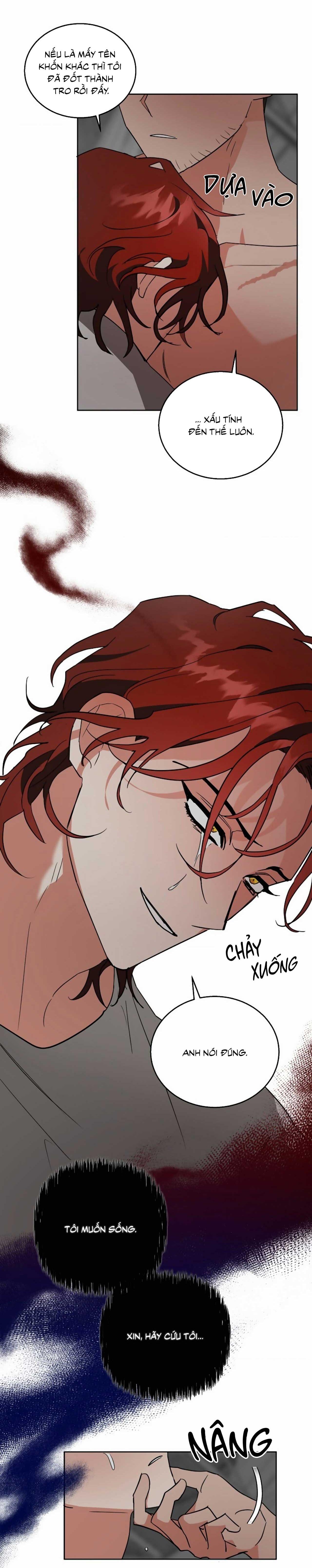 Đọc truyện SÓI GIÀ VÀ CÁO NHỎ - Chapter 5