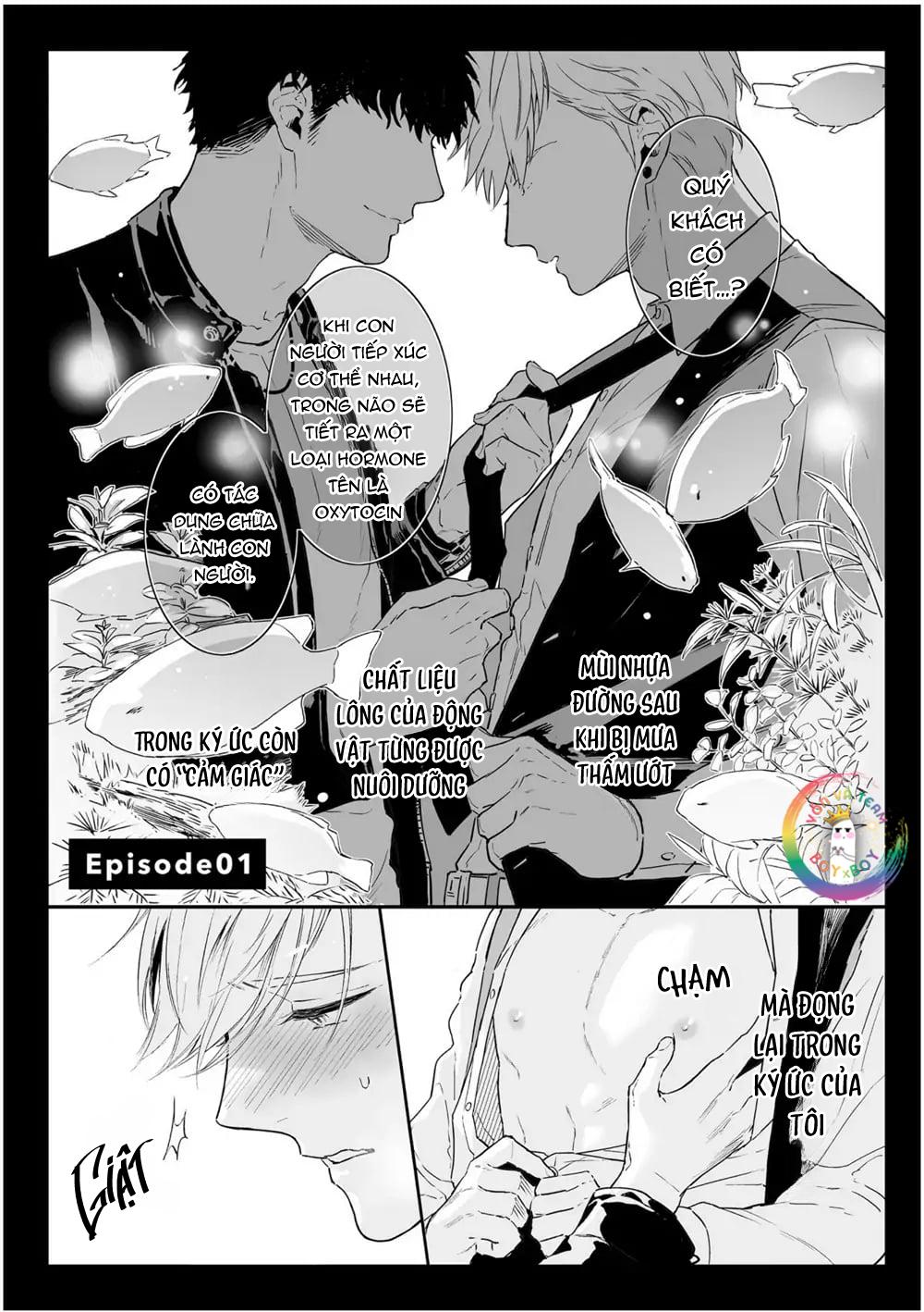 Đọc truyện (END) Định Nghĩa Yêu Của Riêng Tôi - Chapter 1