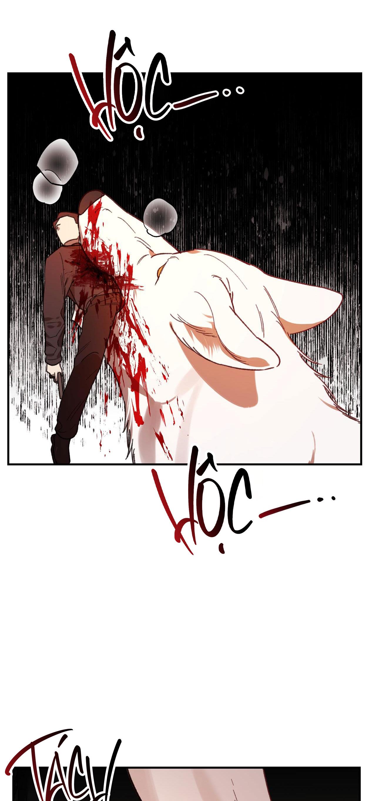 Đọc truyện SÓI TRONG LỒNG - Chapter 17