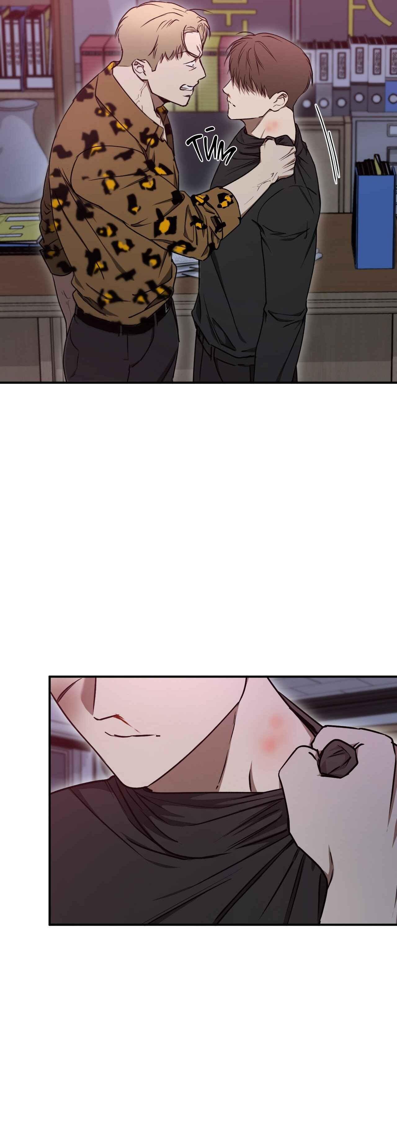 Đọc truyện ĐỘC XÀ - Chapter 13