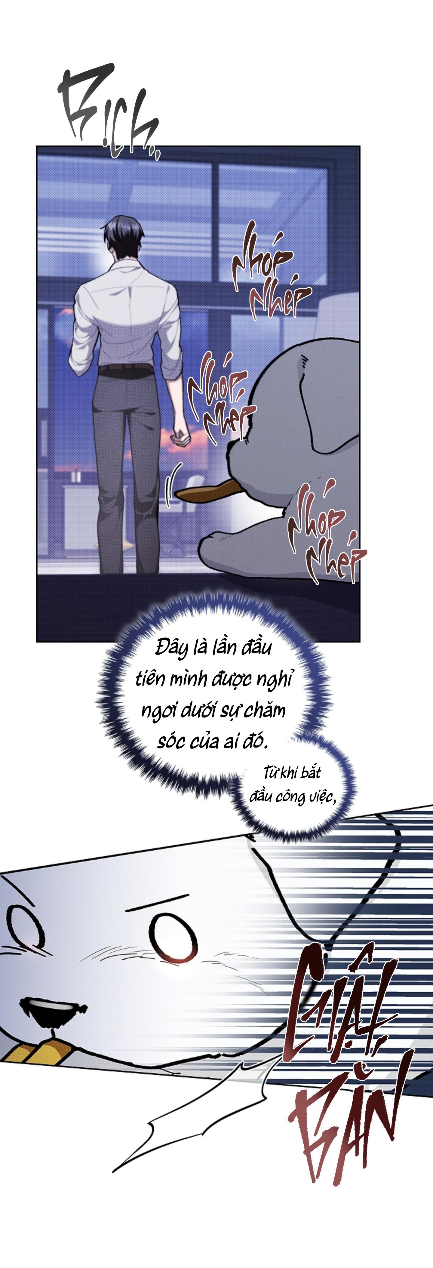 Đọc truyện ĐỪNG ĐỤNG VÀO BÉ CÚN - Chapter 6