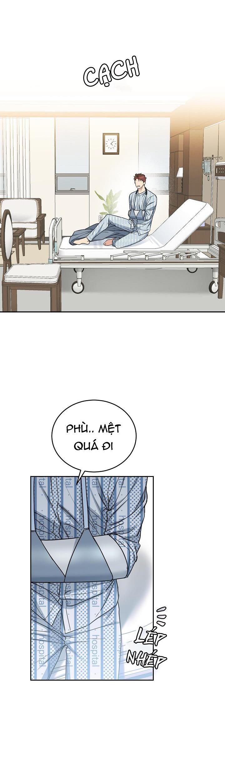 Đọc truyện CHÓ VÀ CHIM - Chapter 16