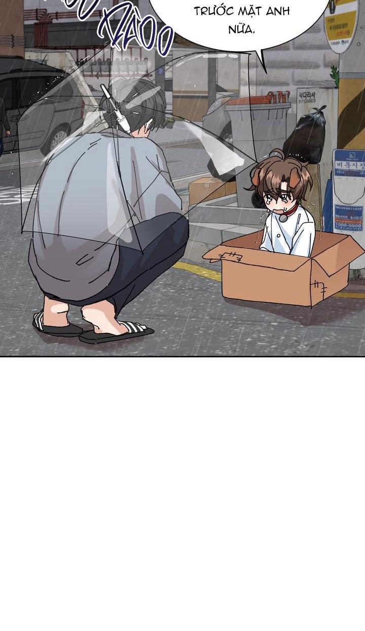 Đọc truyện ĐẶC QUYỀN CHO CẶP ĐÔI MỚI CƯỚI - Chapter 3