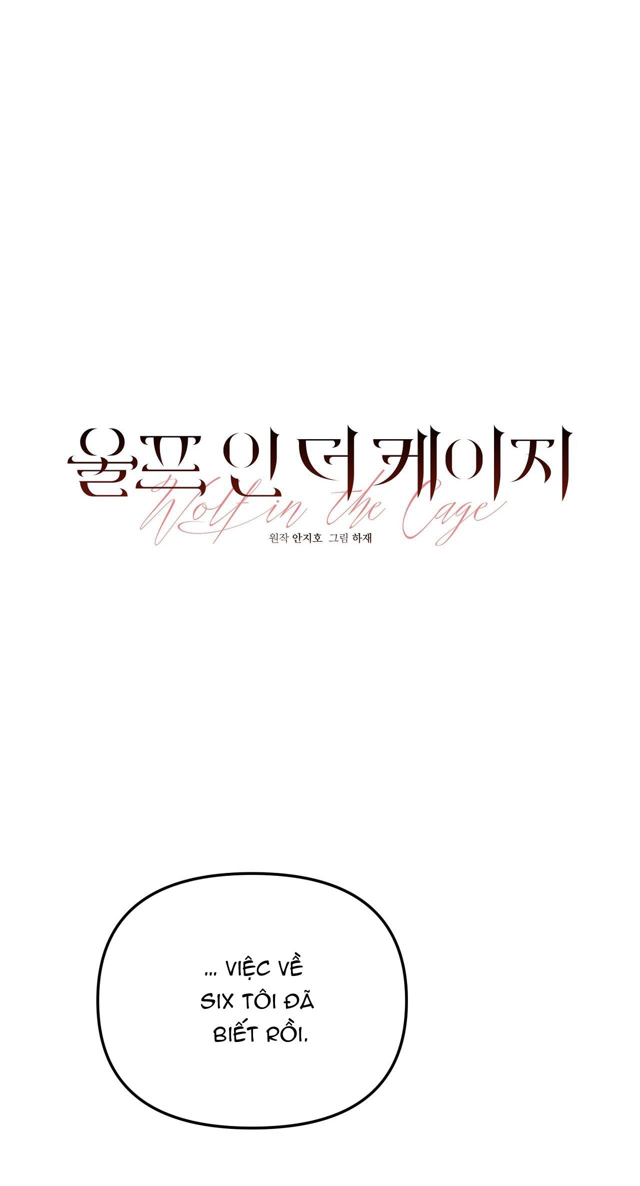 Đọc truyện SÓI TRONG LỒNG - Chapter 12