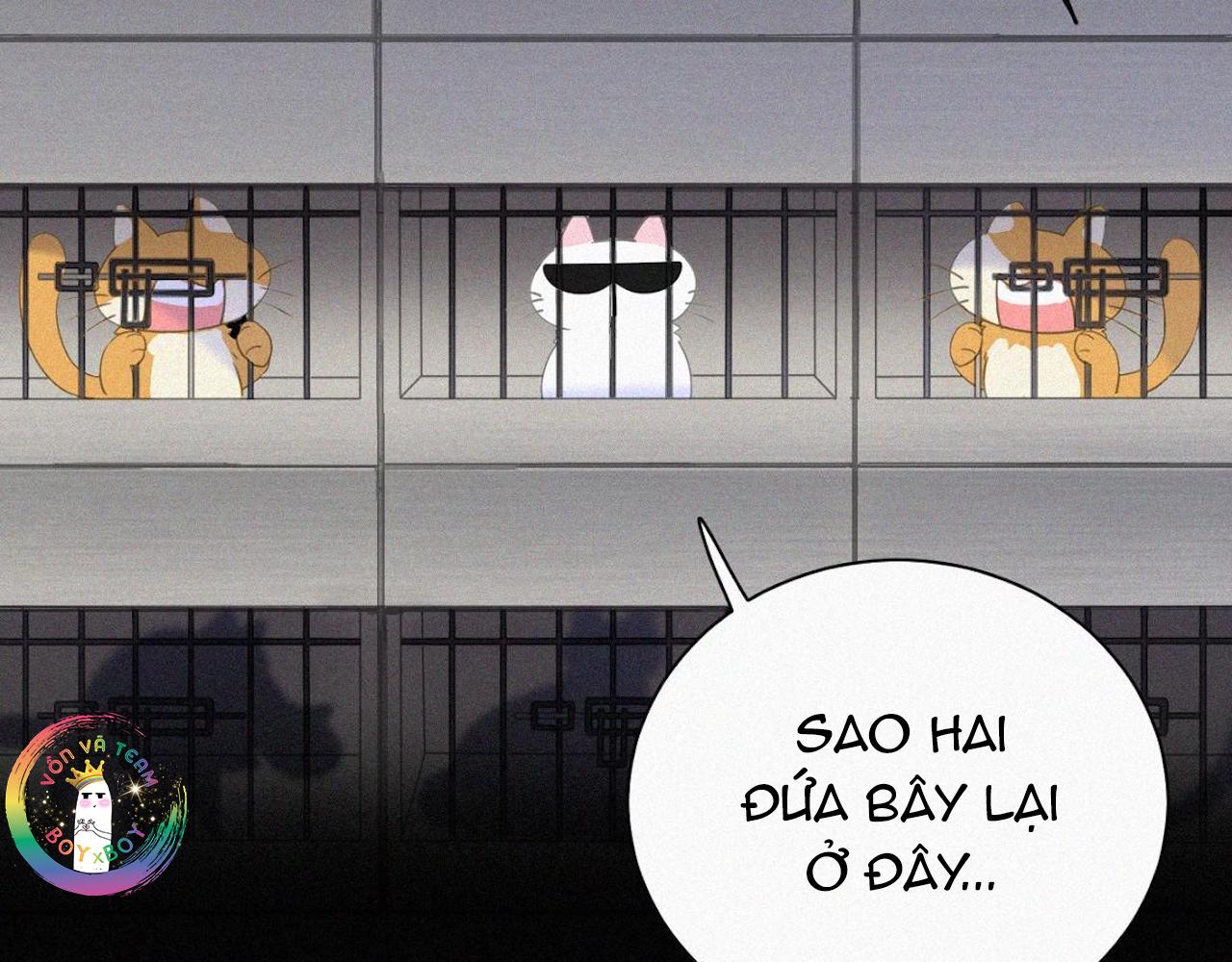 Đọc truyện Xã Hội Mồn Lèo - Chapter 36