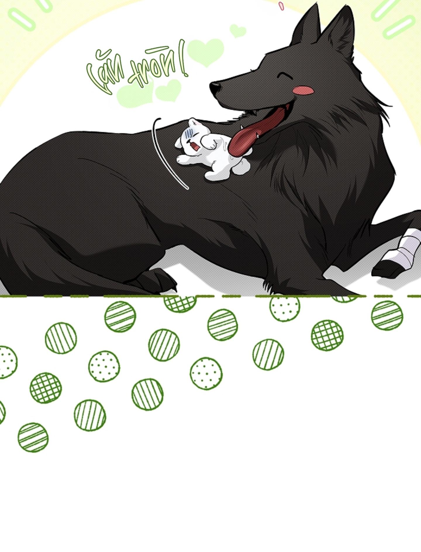 Đọc truyện ĐỪNG CHẠM VÀO CÚN CON CỦA TÔI - Chapter 34