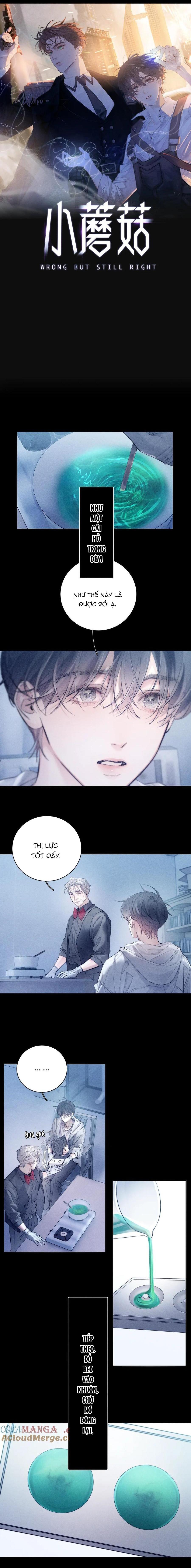 Đọc truyện Cây Nấm Nhỏ - Chapter 20