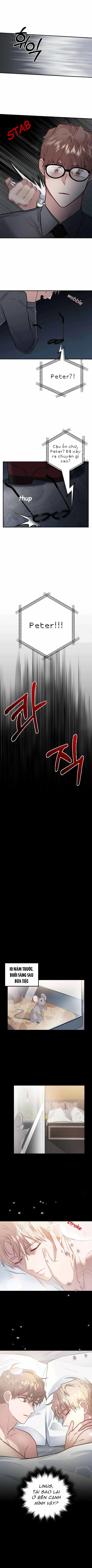 Đọc truyện Phản Diện Đều Là Những Kẻ Ngu Ngốc - Chapter 5