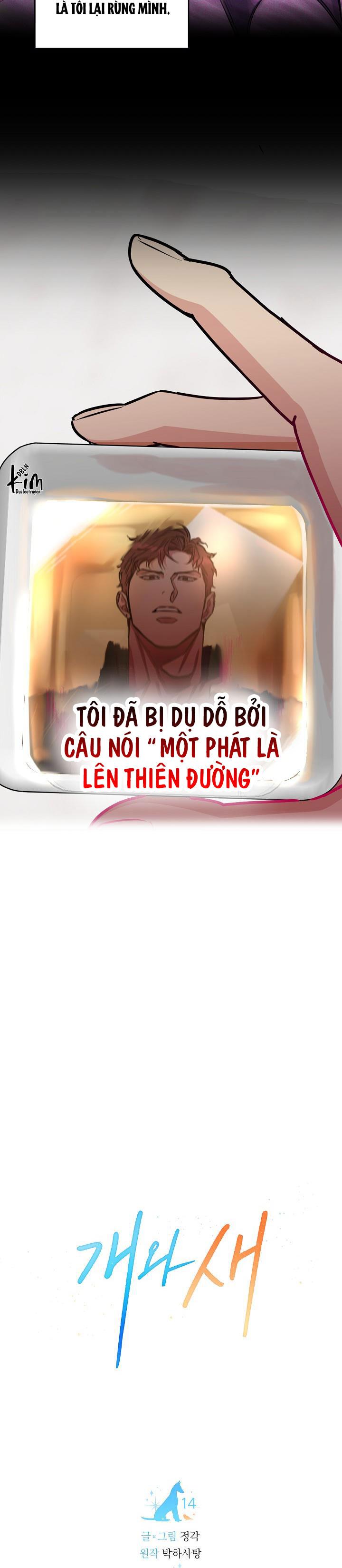 Đọc truyện CHÓ VÀ CHIM - Chapter 14