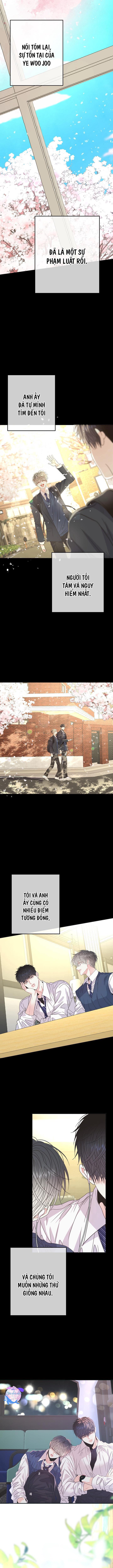 Đọc truyện YÊU EM THÊM LẦN NỮA (LOVE ME AGAIN) - Chapter 55