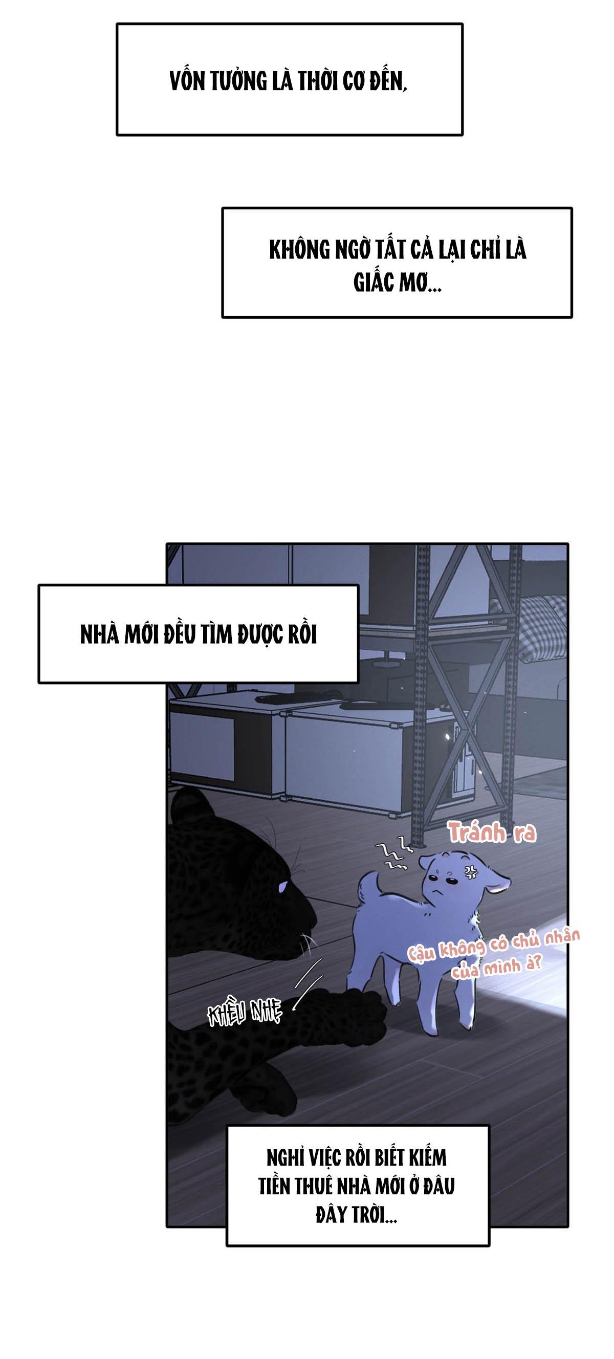 Đọc truyện Tôi Trở Thành Dẫn Đường Đỉnh Cấp Nhờ Trúc Mã - Chapter 17