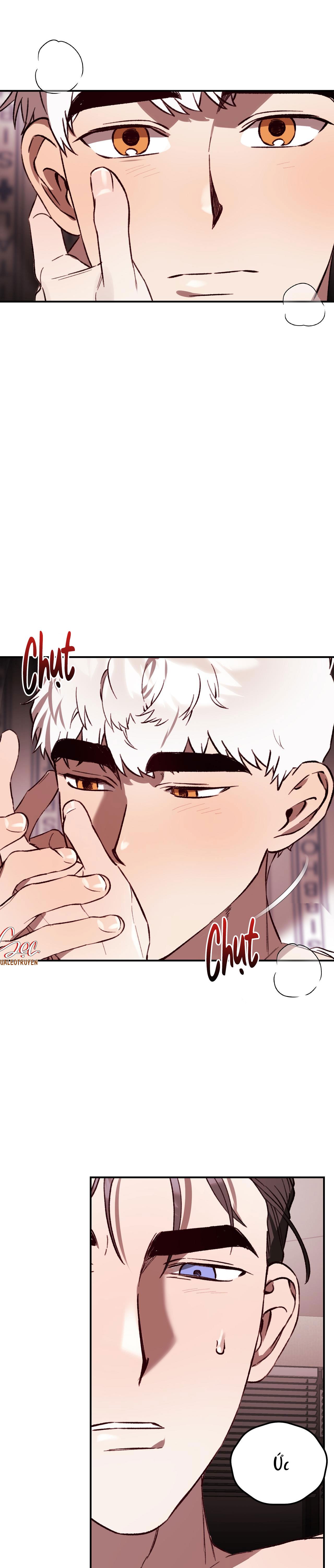 Đọc truyện SÓI TRONG LỒNG - Chapter 29