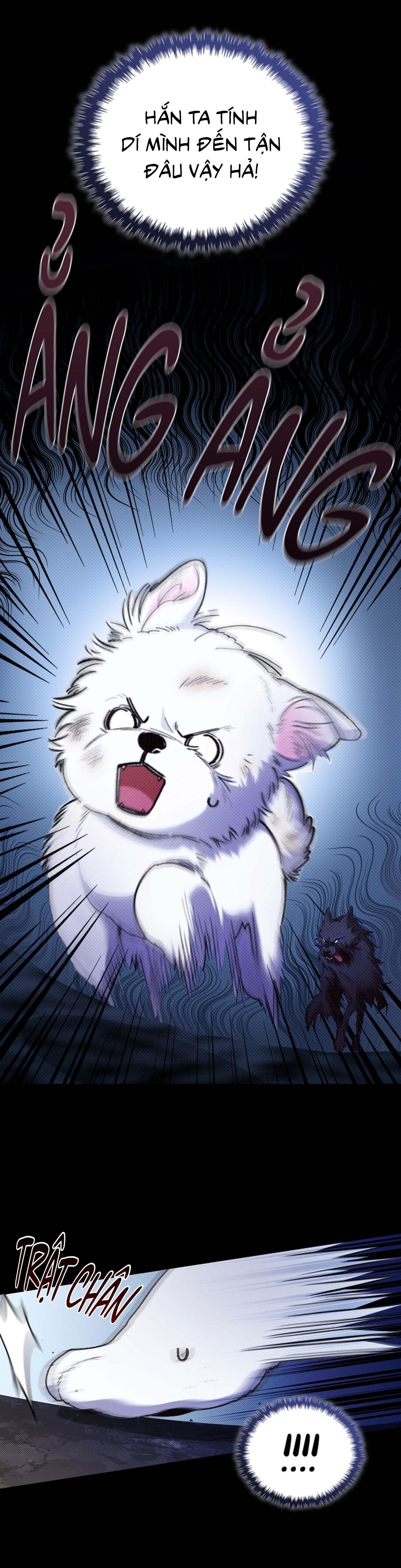 Đọc truyện ĐỪNG ĐỘNG VÀO CÚN CON! - Chapter 1