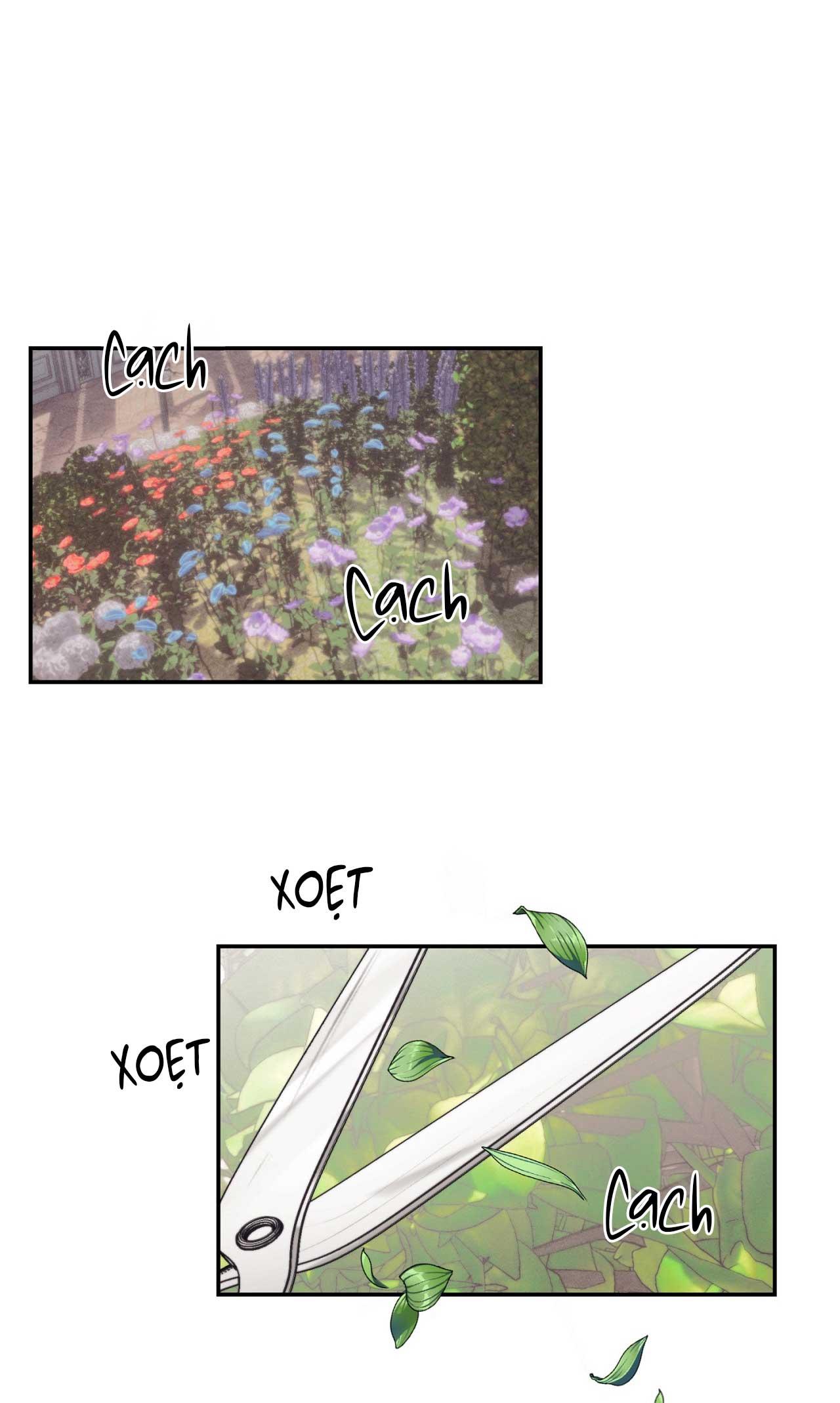 Đọc truyện KHU VƯỜN CỦA ESTHER - Chapter 1