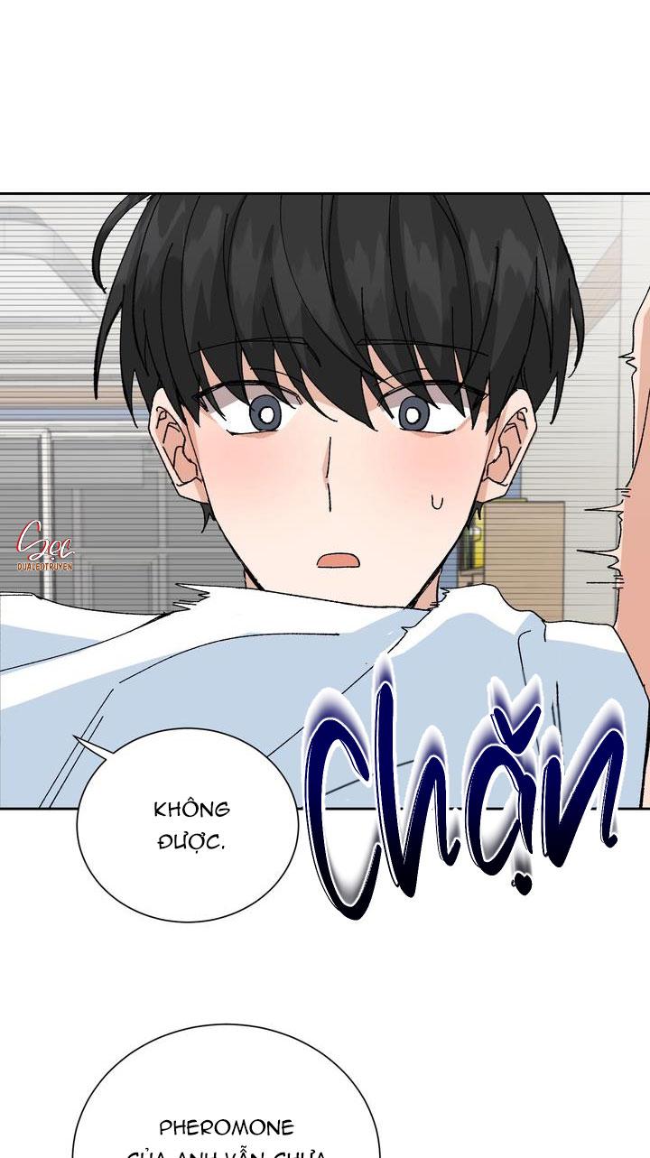 Đọc truyện ĐẶC QUYỀN CHO CẶP ĐÔI MỚI CƯỚI - Chapter 8