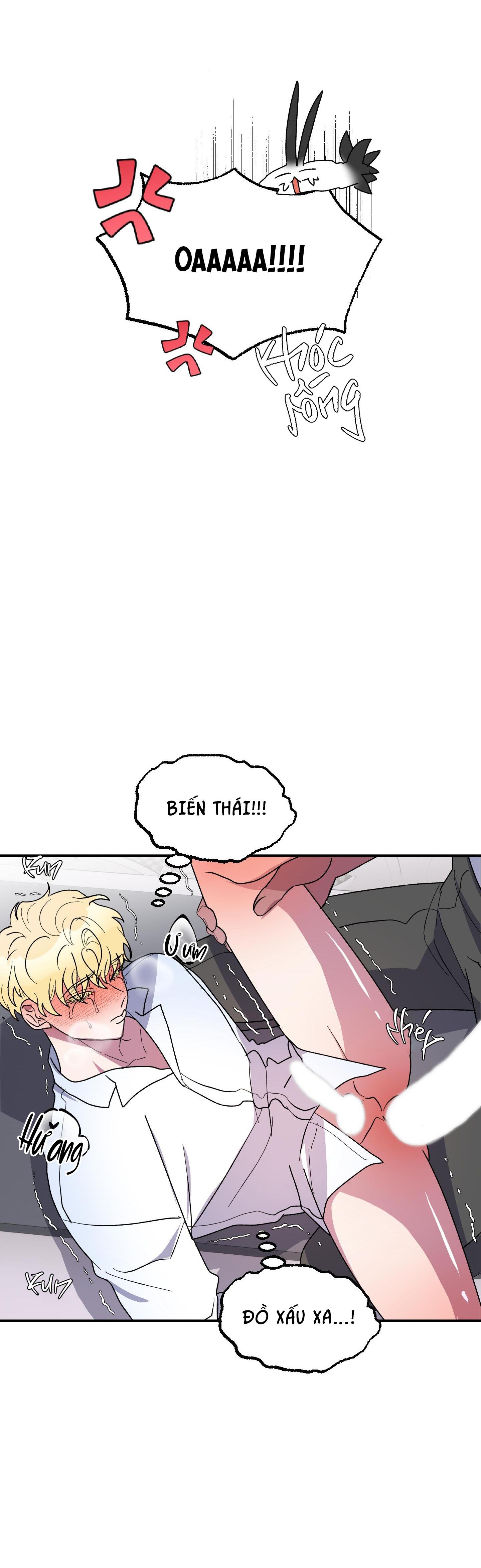 Đọc truyện CÁ MẬP VÀ CÔ DÂU THỎ - Chapter 24