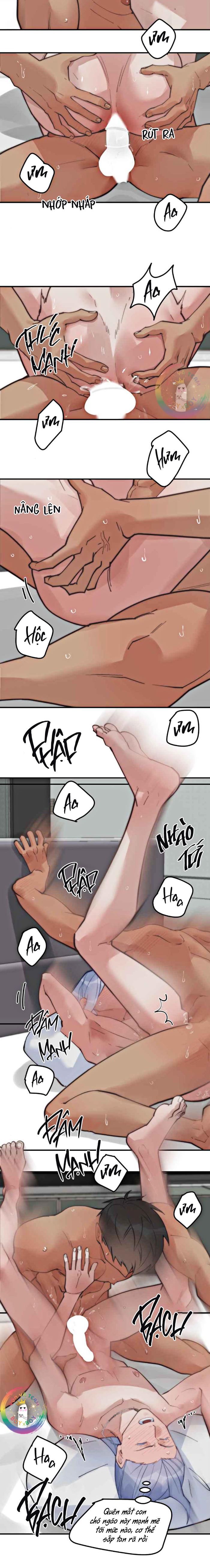 Đọc truyện (END) Đàn Anh Sói Ca Cùng Phòng Của Tôi - Chapter 66