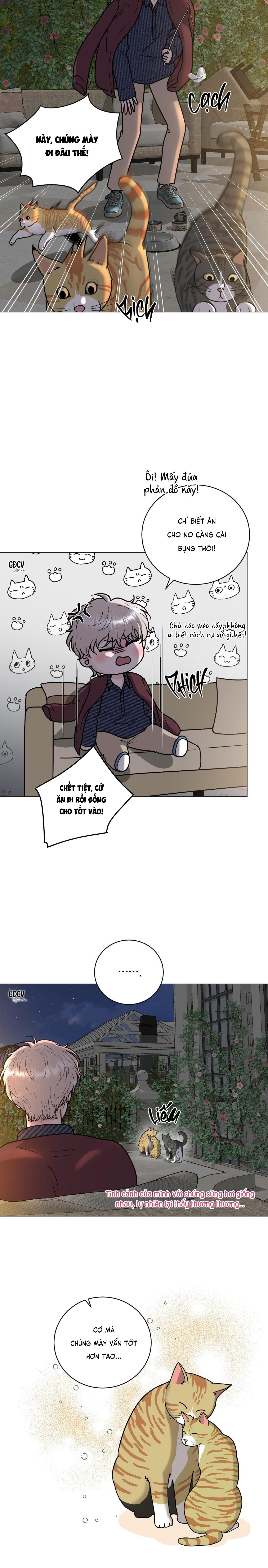 Đọc truyện ẢO ẢNH - Chapter 8