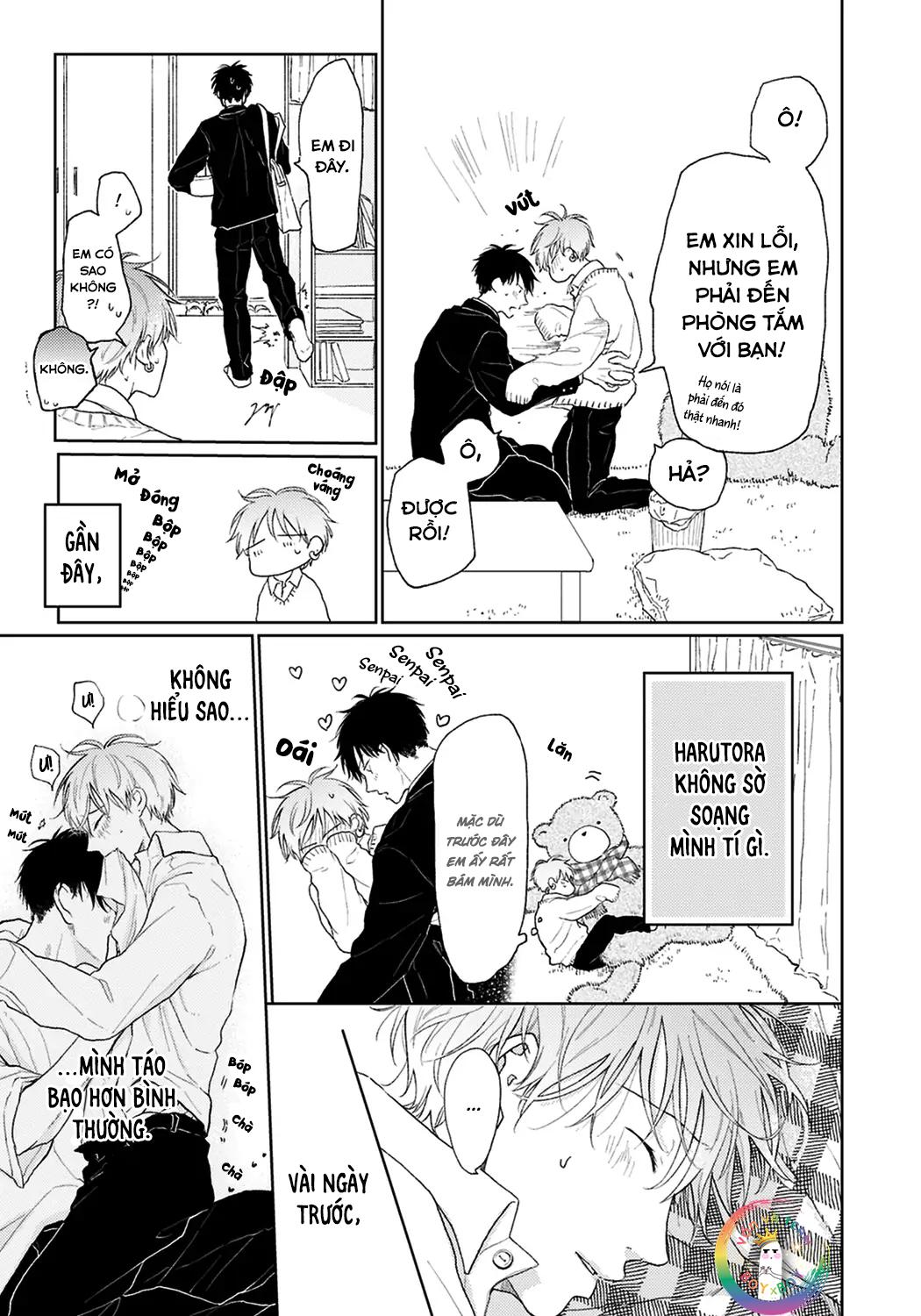 Đọc truyện Đợi Chút Đã, Harutora-kun (END) - Chapter 4