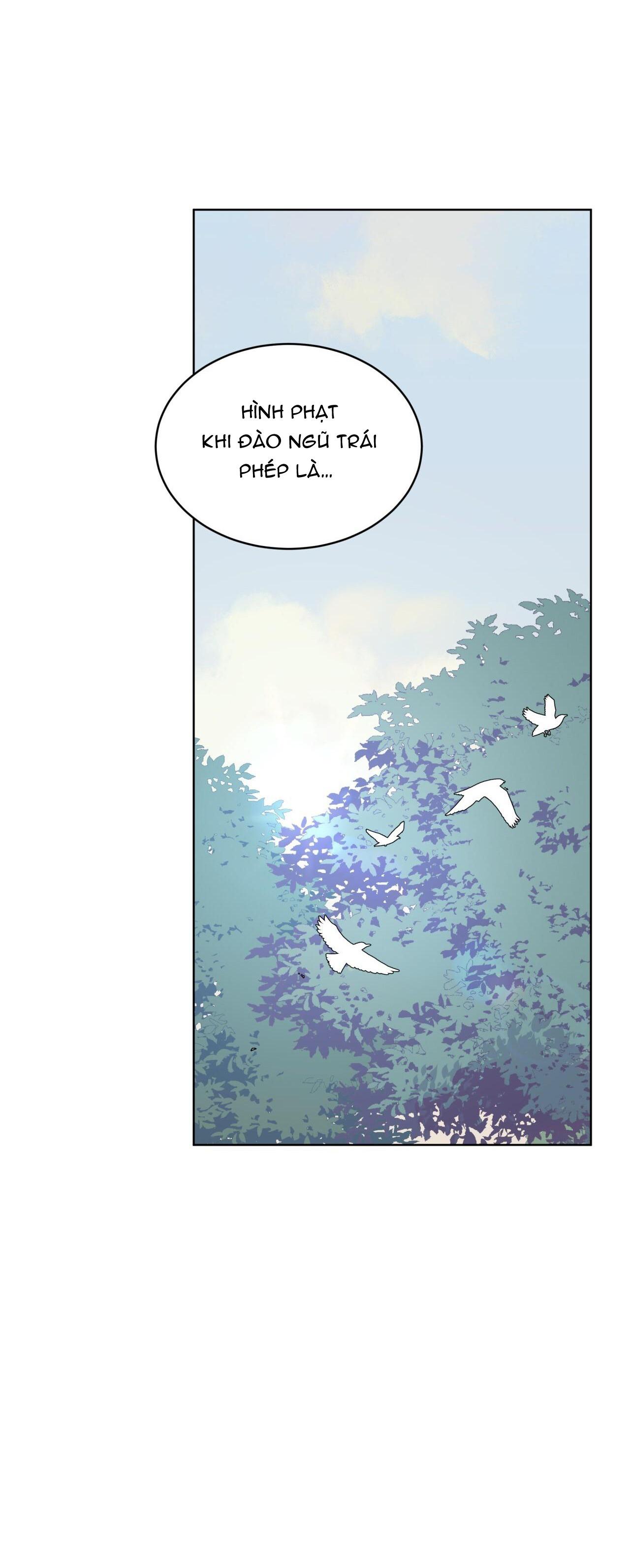 Đọc truyện Rừng Biển - Chapter 54