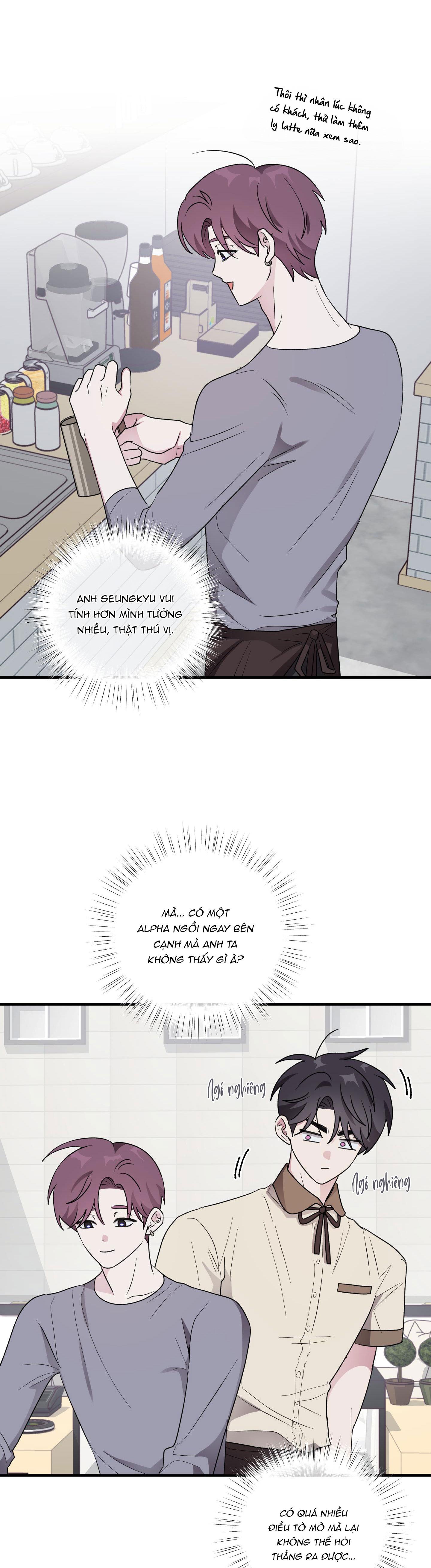 Đọc truyện CHUYỆN TÌNH ALPHA - Chapter 24