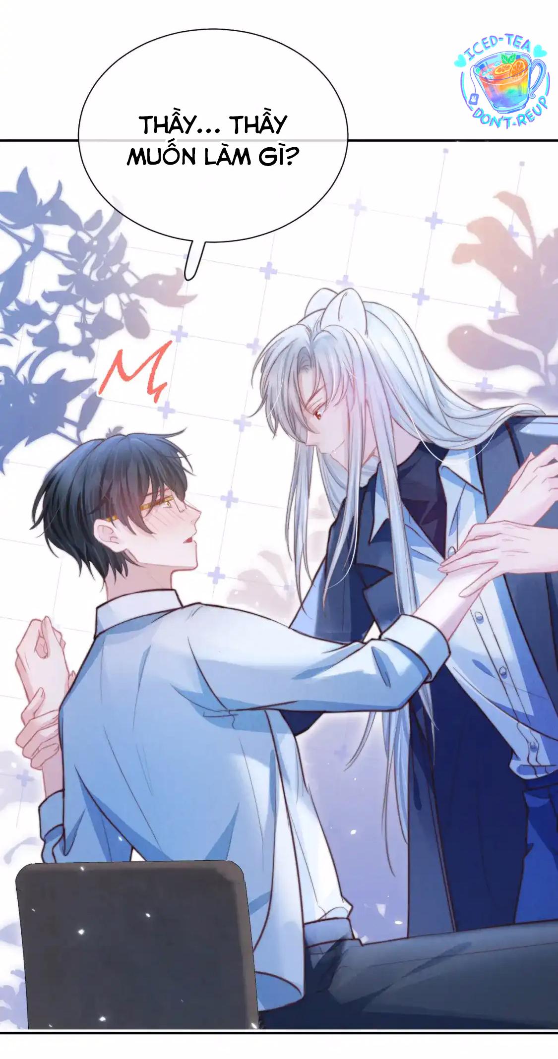 Đọc truyện Ss2 Một ngụm ăn cả thỏ con - Chapter 50