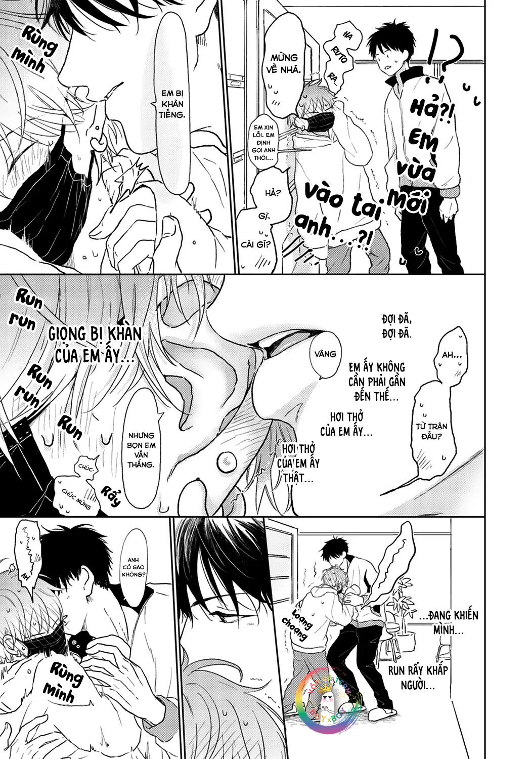 Đọc truyện Đợi Chút Đã, Harutora-kun (END) - Chapter 1