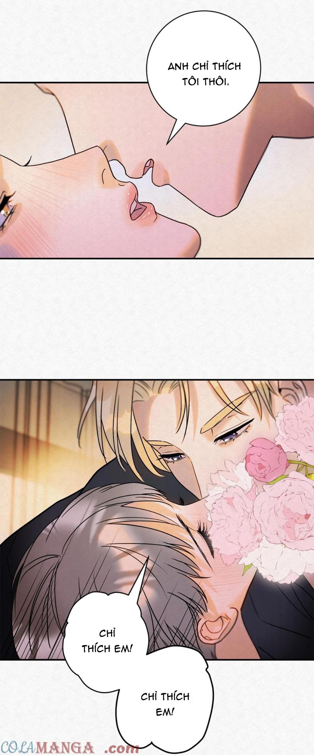 Đọc truyện Anh Trai Rẻ Tiền Của Tôi (END) - Chapter 14