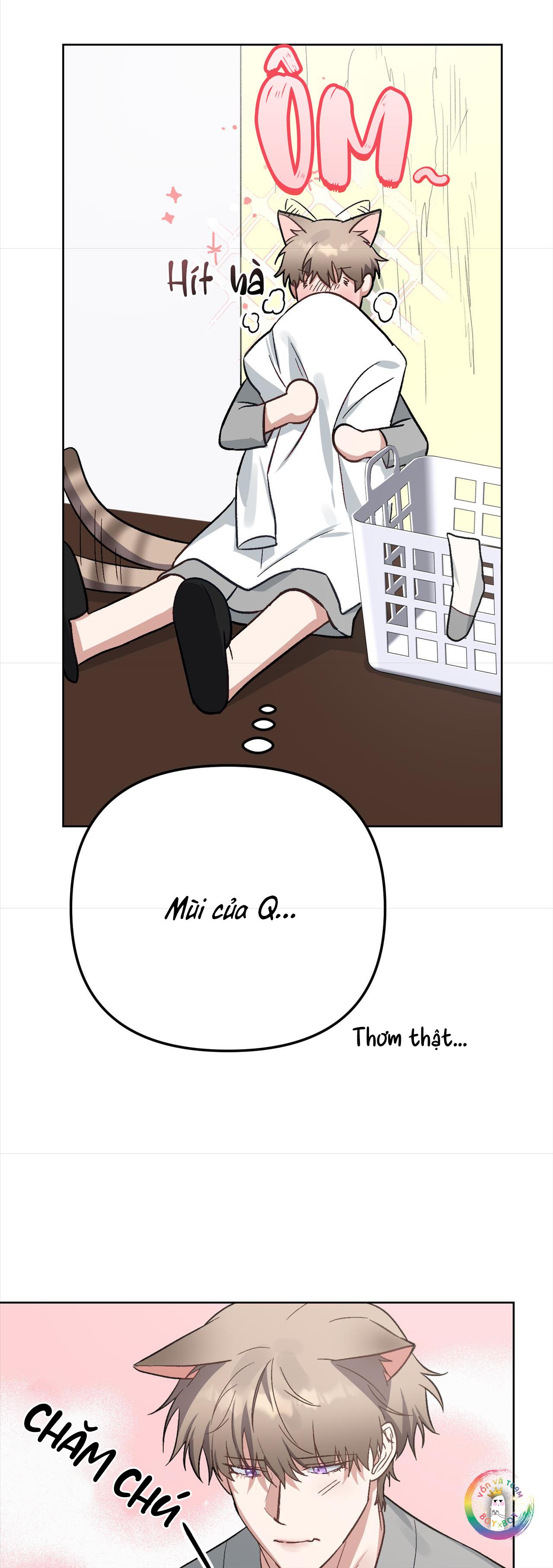 Đọc truyện (END) Thỏ Xuất Tinh Trong Vòng 3 Giây - Chapter 10