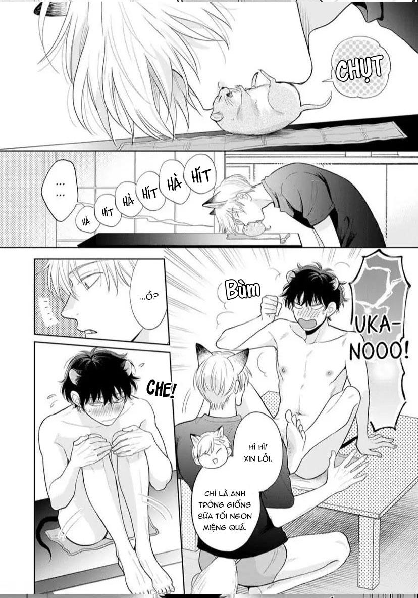 Đọc truyện Cách Khiến Một Omega Trở Nên Ngon Miệng - Chapter 8