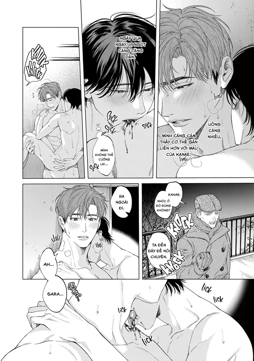 Đọc truyện Thạch lựu lấp lánh trong bãi rác - Chapter 6.5