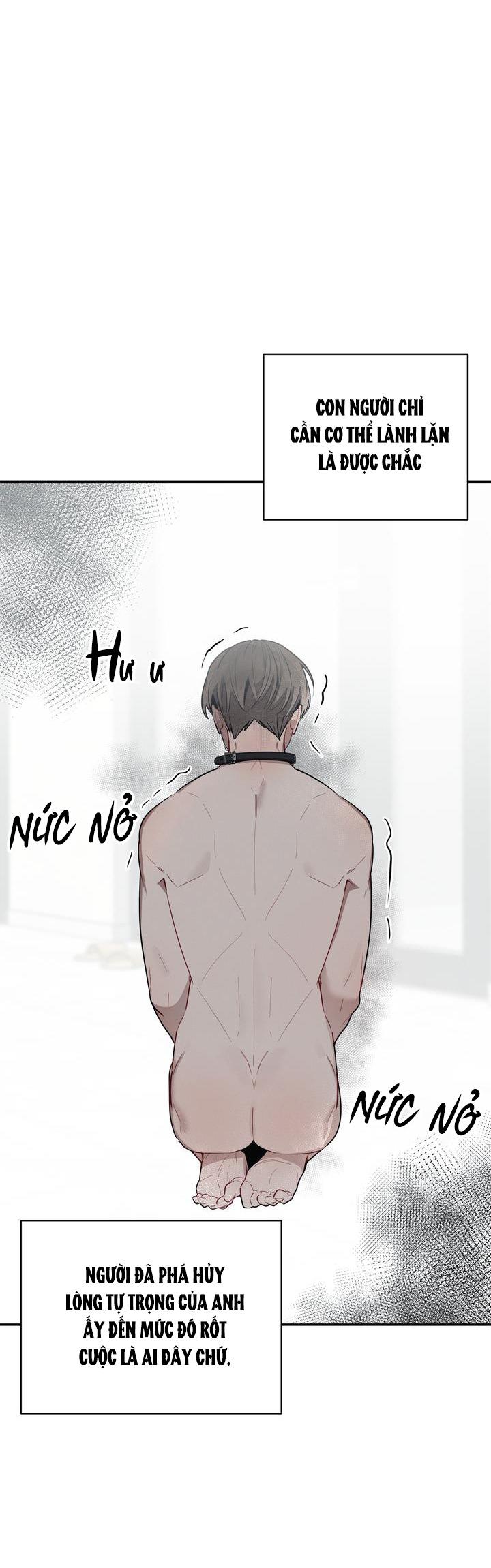 Đọc truyện CHERRY SCANDAL - Chapter 37