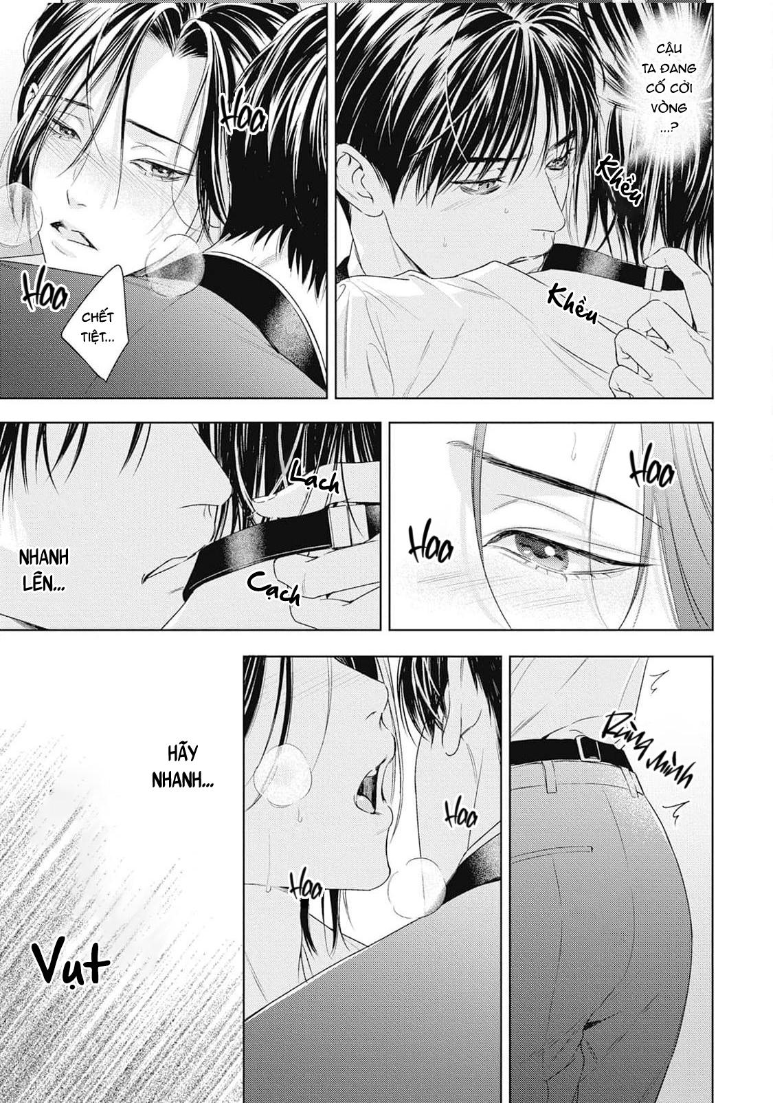 Đọc truyện Hòa thanh dưới ánh nến hoa cùng tình yêu của Omega - Chapter 3