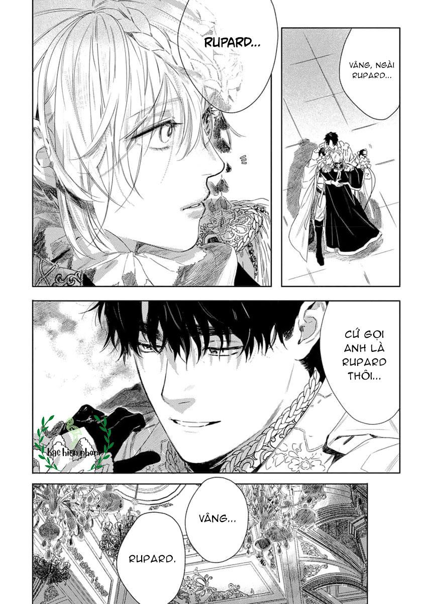 Đọc truyện Hoa hồng dại và những kẻ giả tạo - Chapter 5